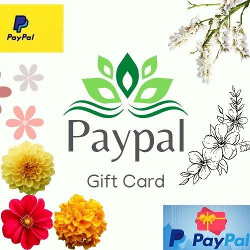 New Paypal Gift Card Codes-2024